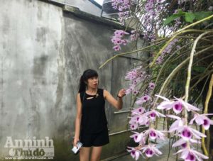 Vườn lan 'huyền thoại' có một không hai ở Tuyên Quang