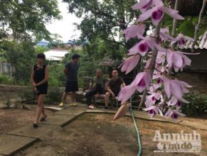 Vườn lan 'huyền thoại' có một không hai ở Tuyên Quang