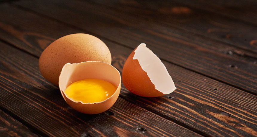 Dùng vỏ trứng bón cây có tốt không? Cách làm phân bón từ vỏ trứng